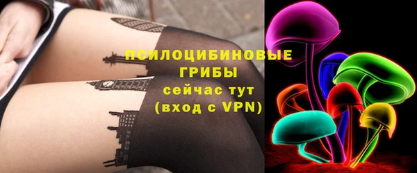 прущий лед Аркадак