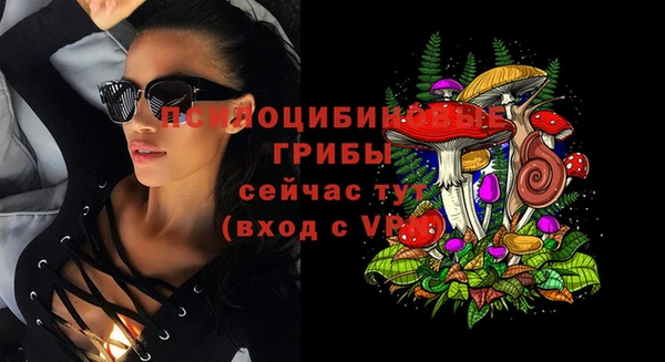 прущий лед Аркадак