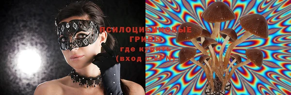 прущий лед Аркадак
