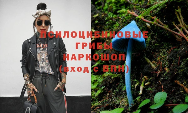 прущий лед Аркадак