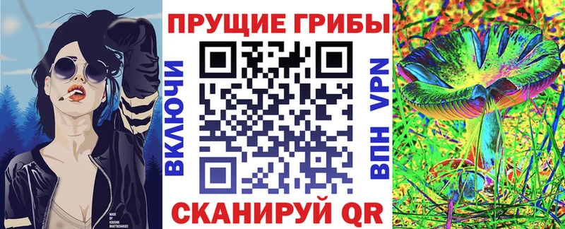Галлюциногенные грибы мицелий  Городище 